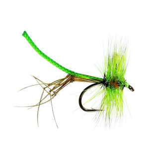 Lime Lanky Daddy  (Size 10)
