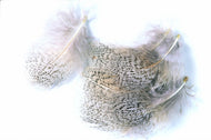 English Partridge Mixed Hackle 1 Gram