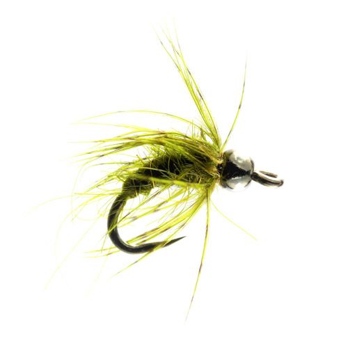 Olive Pupa Tungsten Barbless