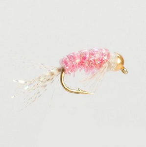 Pink Shrimp size 16