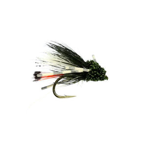 Turks Olive Tarantula (Size 10)