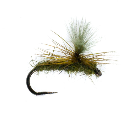Barbless Universal Olive